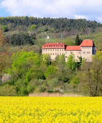 Burg Creuzburg