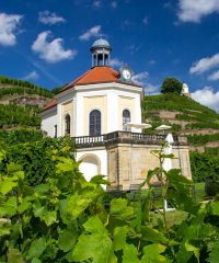 Schloss Wackerbarth