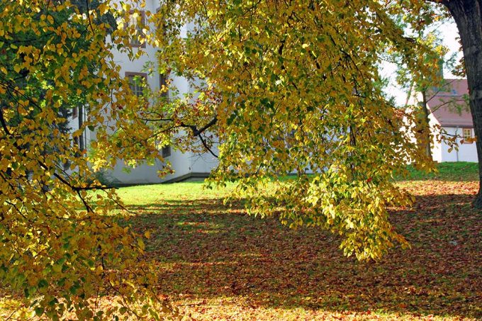 Schloss Christiansburg