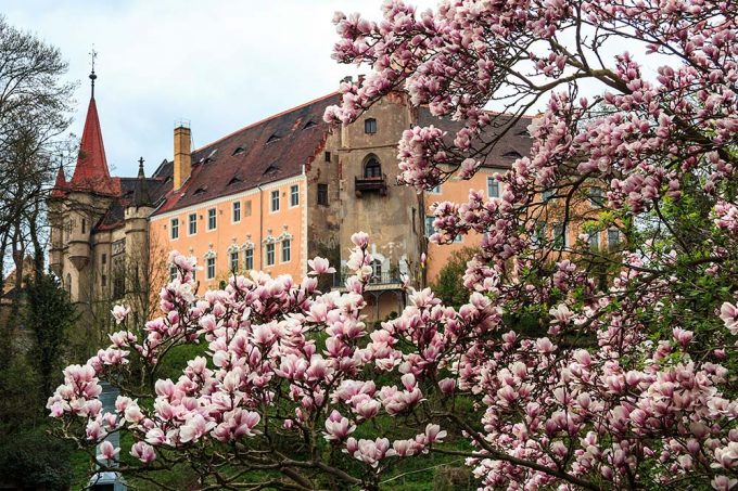 Schloss Püchau