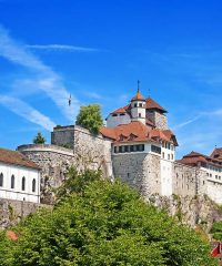 Festung Aarburg