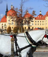 Schloss Moritzburg