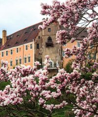 Schloss Püchau