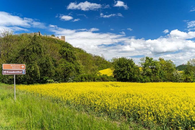 Burg Gleichen