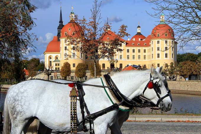 Schloss Moritzburg