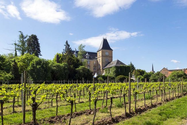 Schlossfestspiele Edesheim