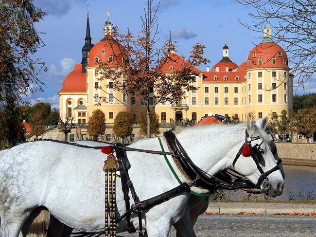 Schloss Moritzburg