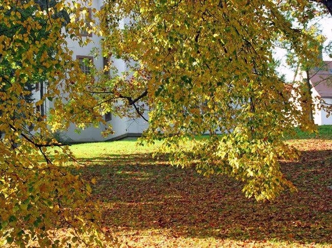 Schloss Christiansburg