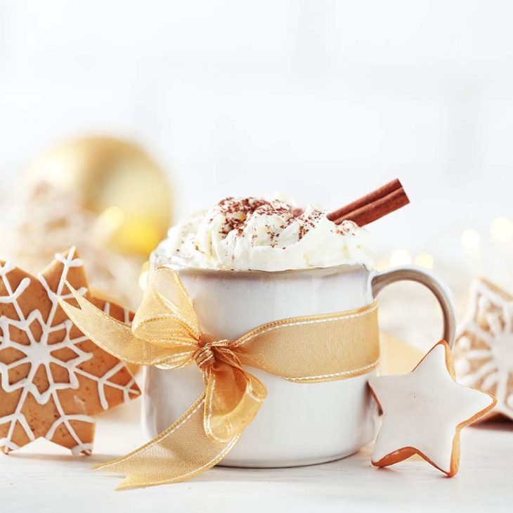 Weihnachtszauber im Schloss Leubnitz