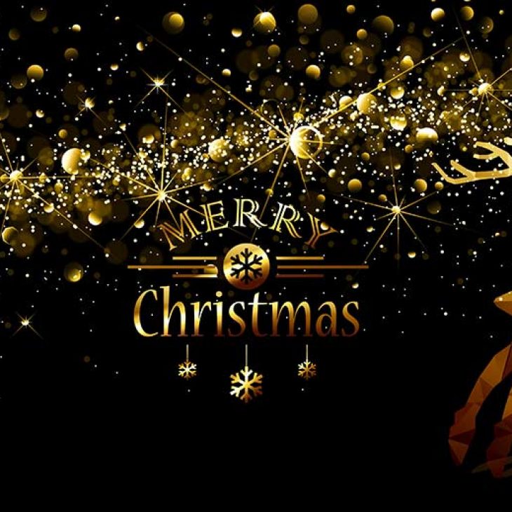 Weihnachtsmarkt am Schloss Bad Homburg