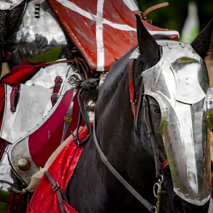 Turnier der Ritter zu Pferde auf der Ronneburg