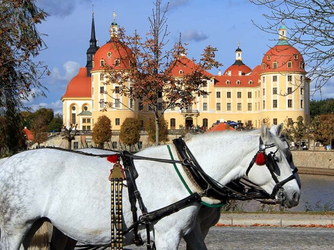 Schloss Moritzburg