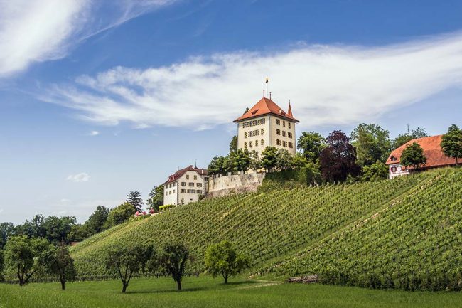 Schloss Heidegg