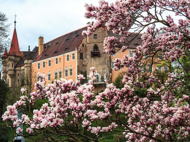 Schloss Püchau