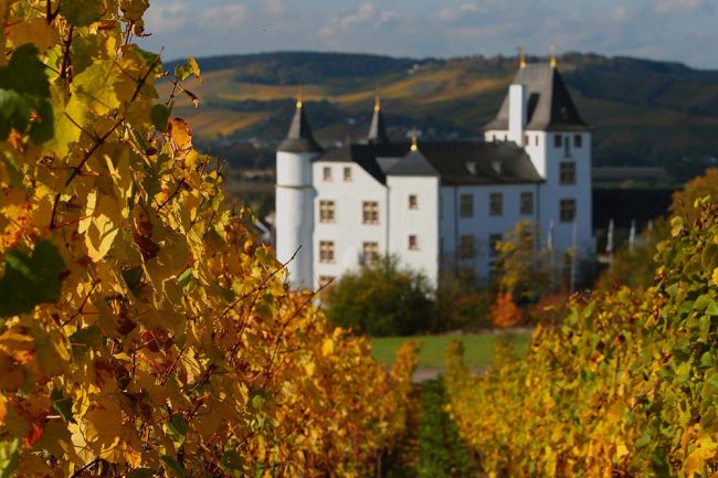 Schloss Berg im Saarland