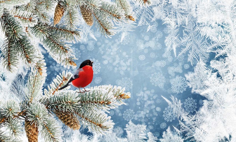 Winter und Weihnachten