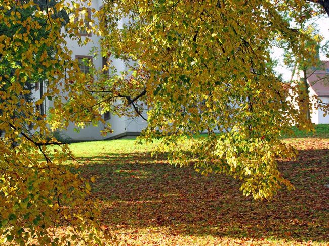 Schloss Christiansburg