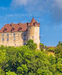 Schloss Greyerz