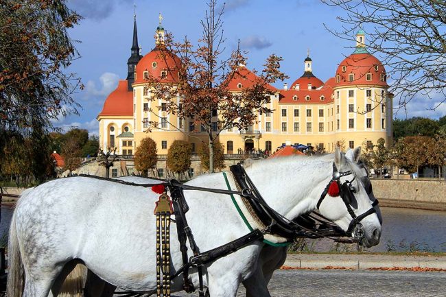 Moritzburg in Sachsen